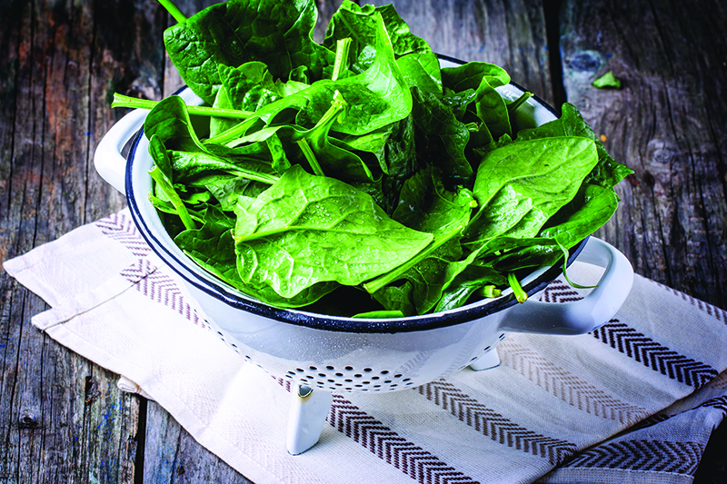 Insalate di primavera